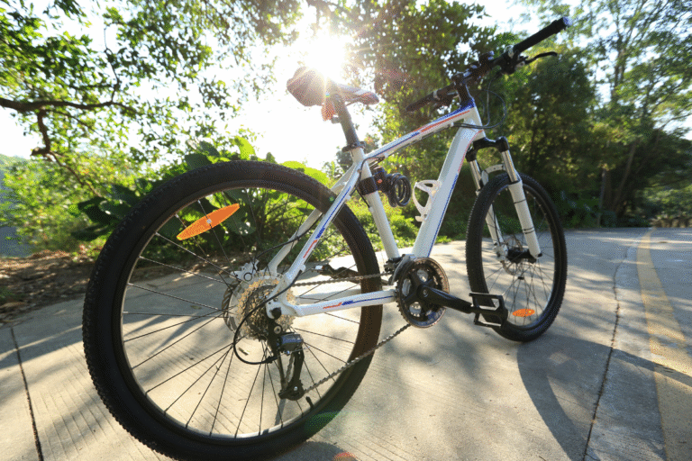 How Will Heybike Ranger Pro Enrich the Seniors’ Daily Life